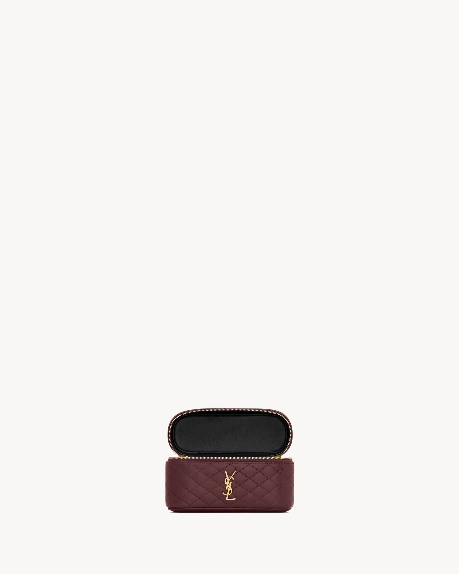 SAINT LAURENT GABY VANITY BAG IN LEATHER