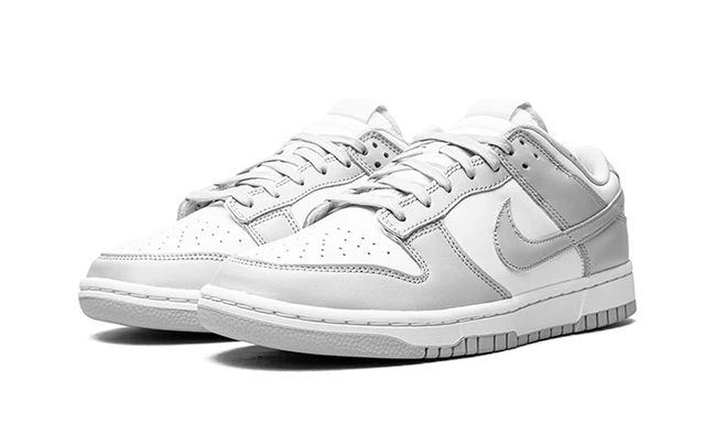 Nike Dunk Low Gris Brouillard