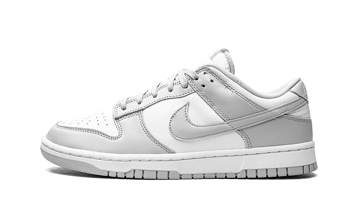 Nike Dunk Low Gris Brouillard