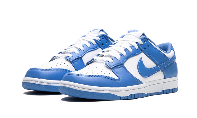 Nike Dunk Low Bleu Polaire